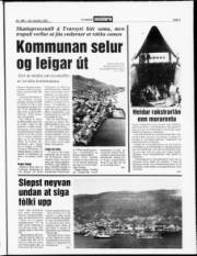 Síða 3