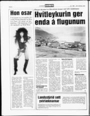 Síða 8