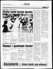 Síða 17
