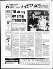 Síða 20