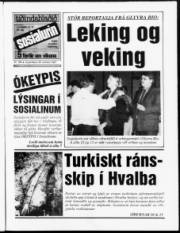 Síða 1