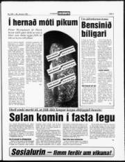 Síða 3