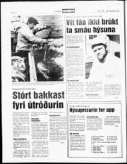 Síða 8