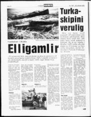 Síða 10