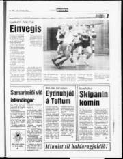 Síða 17