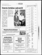 Síða 19