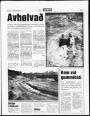 Síða 3
