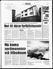 Síða 5