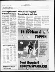 Síða 13
