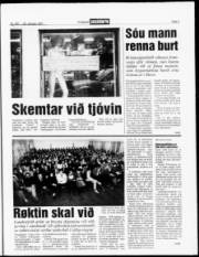 Síða 3