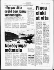 Síða 6