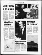 Síða 9