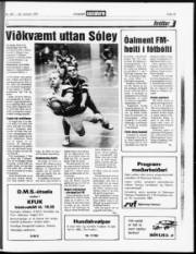 Síða 15