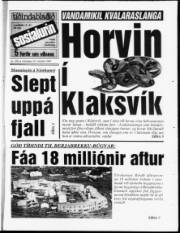 Síða 1