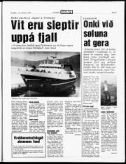 Síða 3