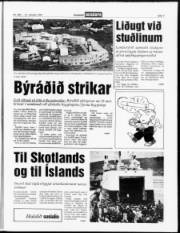 Síða 7