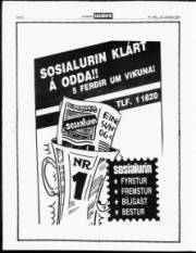 Síða 8