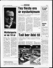 Síða 3