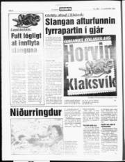 Síða 6