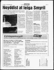 Síða 19