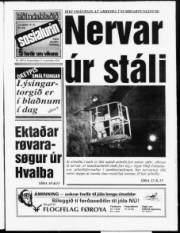 Síða 1