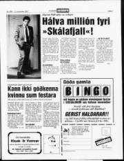 Síða 3