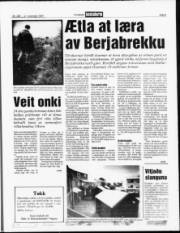 Síða 5