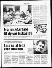 Síða 7