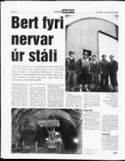 Síða 12