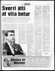 Síða 17