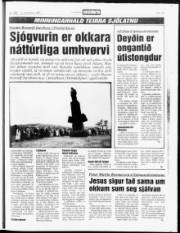 Síða 19
