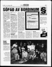 Síða 3