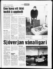 Síða 5