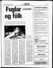 Síða 17
