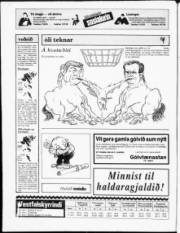 Síða 20