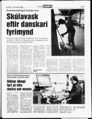 Síða 3