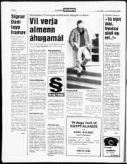 Síða 4