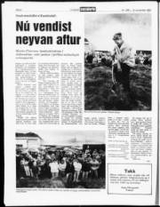 Síða 6