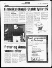 Síða 11