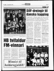 Síða 12