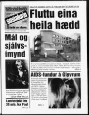 Síða 1