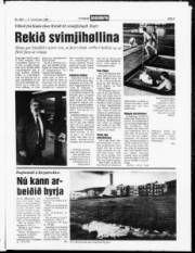 Síða 3
