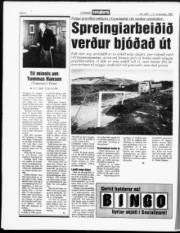 Síða 8