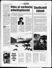 Síða 5