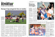 Síða 12