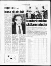 Síða 18