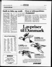 Síða 19