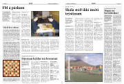 Síða 13