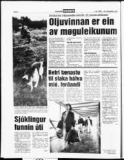 Síða 4