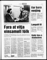 Síða 5
